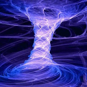 Meet your Posher, Riley